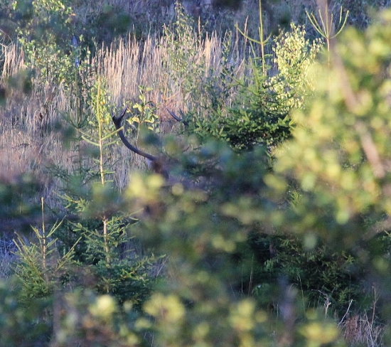 toto je on ale cez deň