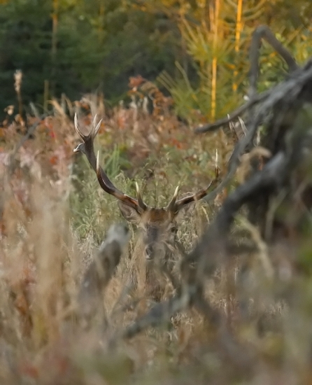 Máme na seba šťasie