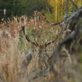 Máme na seba šťasie