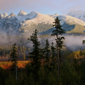 tatry