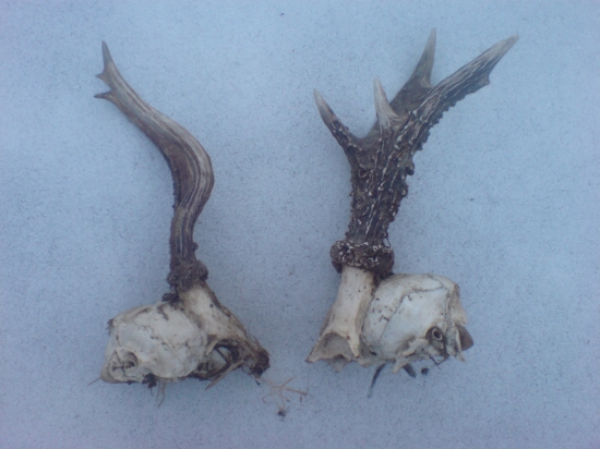 uhyny spolu na porovnanie