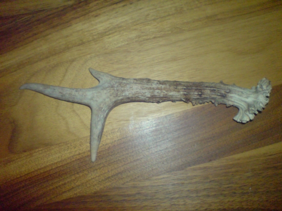 dnešný ,taky starší