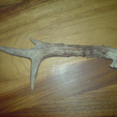 dnešný ,taky starší