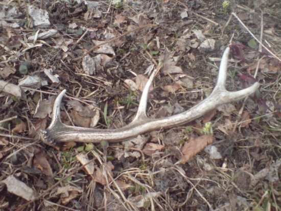 cestou späť ,dozber