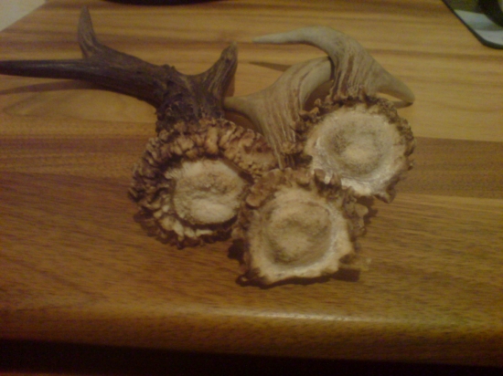 ružice na porovnanie