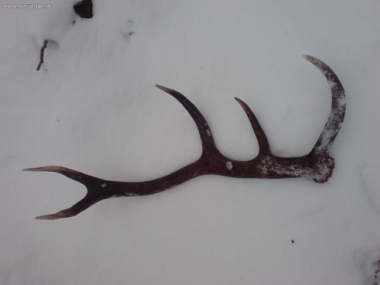 prvý tohoročný 3.4 kg je von