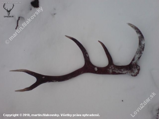 prvý tohoročný 3.4 kg je von