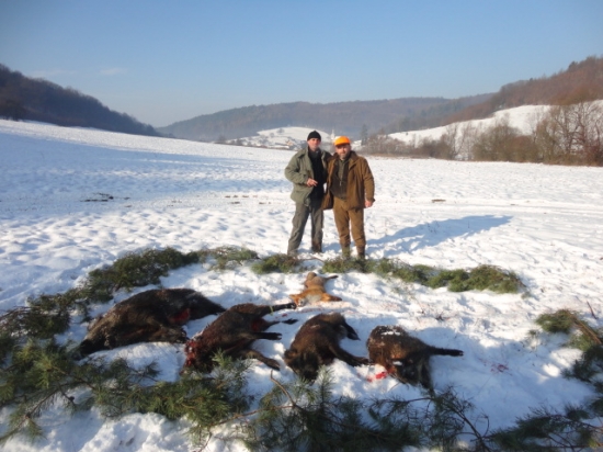 Naša dnešna uspešna poľovačka na diviačiu zver