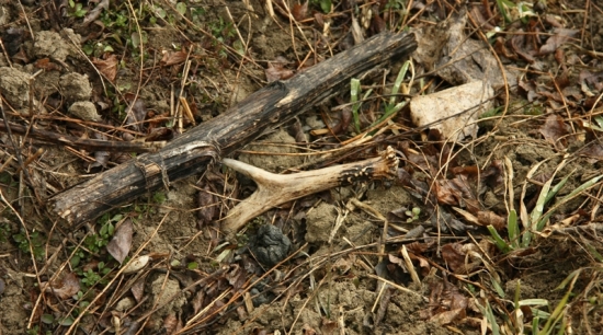 Tretí tento týždeň