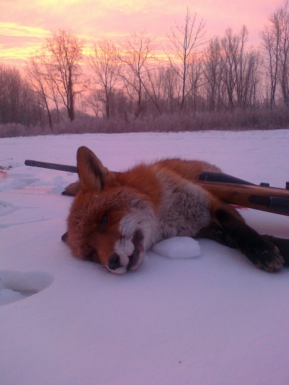 mrazive nedelne rano