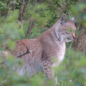 maskovaný,no fotoaparat si miesto našiel :)