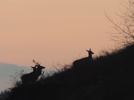 na horizonte pri zapade slnka