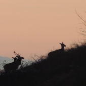 na horizonte pri zapade slnka