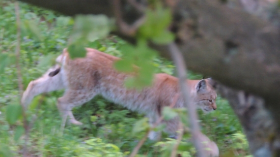 okamih,kedy človeka zamrazí :) cca 3 m pod sedačkou
