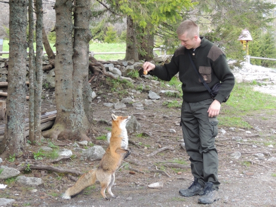 tatranská kradoška :)
