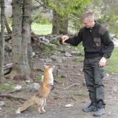 tatranská kradoška :)