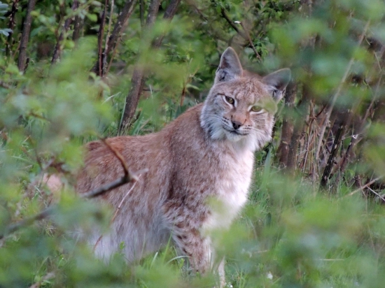 Využil som chvíľkový moment :)