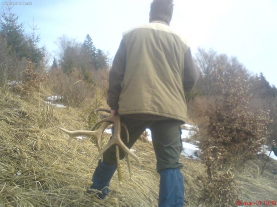 hned sa lepsie kračalo