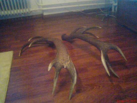 taketo zhody,radost bodovat ..