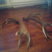 taketo zhody,radost bodovat ..