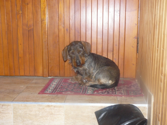 nadčim asi rozmylsa