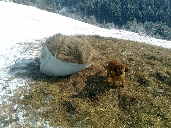 dnesna  pomoc v nudzi (sice pomenej ale predsa )