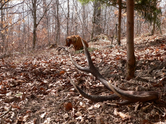 dnesna prva tohorocna parka