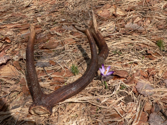 dnesny osmacik este z minuleho roka ( ale zachovaly)