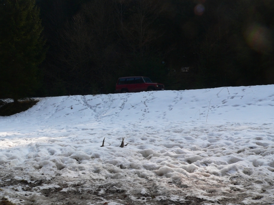 niekedy netreba ani nikde chodit :D