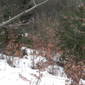 tak takto som ho necakal