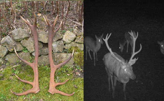 podarilo sa ! 177,21 CIC