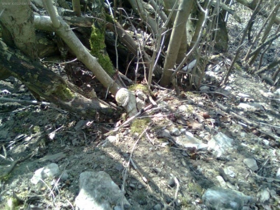 zakopaný pod cestou