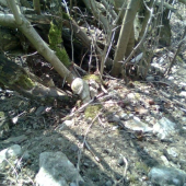 zakopaný pod cestou