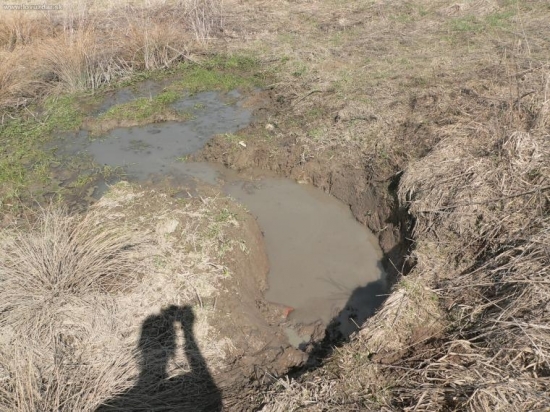 bahnisko uprostred luky