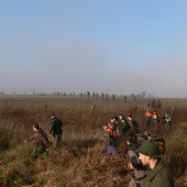 na spolocnej s orlami