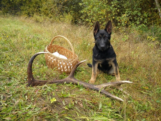 ... už v celej kráse ...