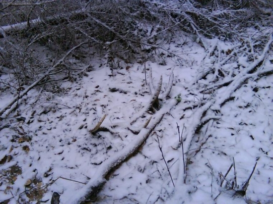 decembrový :-)