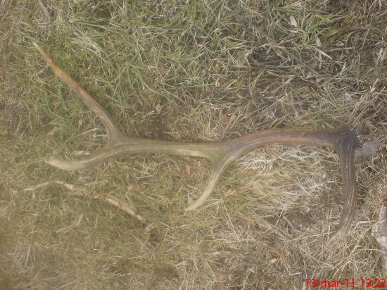 minuloročný, ale poteší