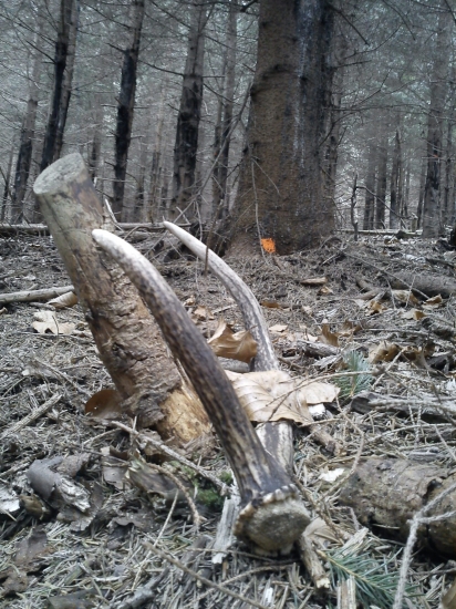 asi ho niekto nezbadal