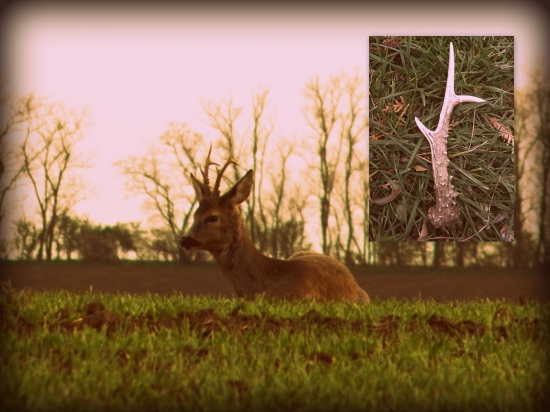 Zhod aj s jeho bývalým majiteľom
