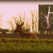 Zhod aj s jeho bývalým majiteľom