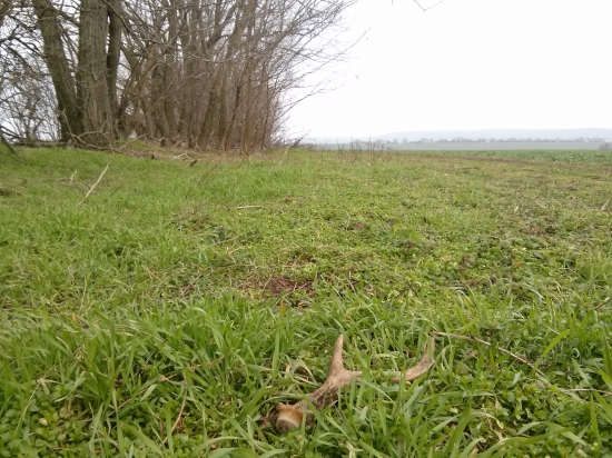 Opäť sa zadarilo..