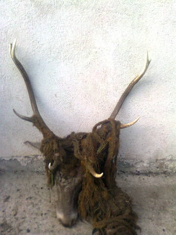 strasidlo s kukurice :)