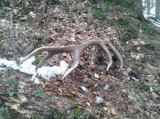 milujem ten pocit  :D