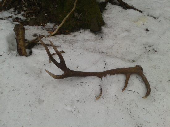 a takto lezal druhy :D