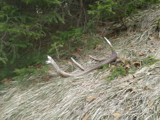 starši ale predsa potešil :D