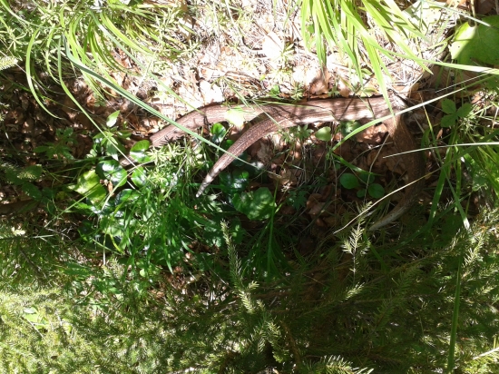 aj takyto sa da najst este najst :D