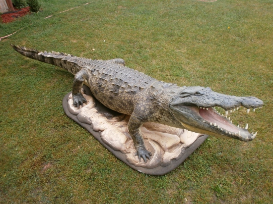 krokodile