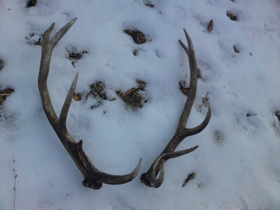 moja vcerajsia parka z minuleho roka .