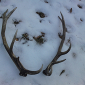 moja vcerajsia parka z minuleho roka .